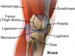 What Causes Knee Pain
