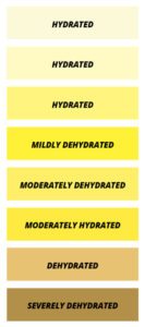 Urine Color Hydration Chart