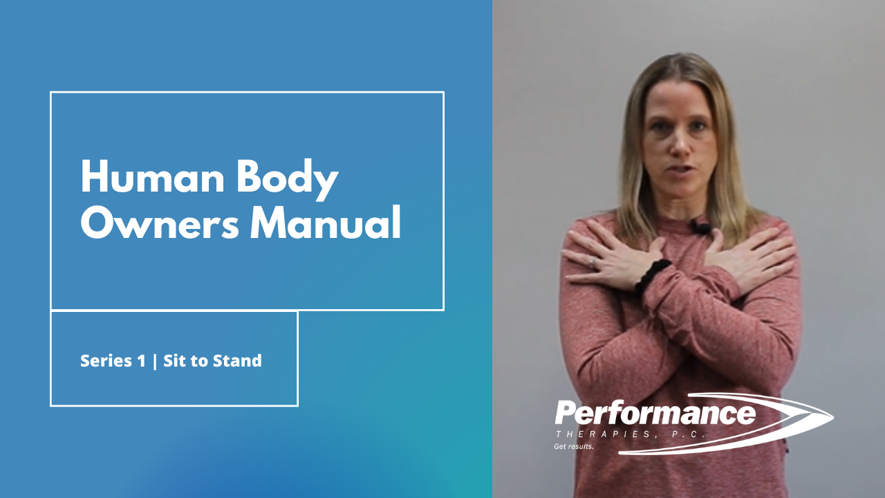 Human Body Manual Series 1